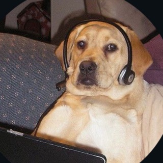 Telegram profile photo for GCM movies, web series, cartoon, anime, drama, search party free !