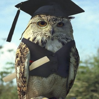 Telegram profile photo for Эрудит Chat