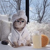 Telegram profile photo for Саша вещает