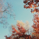 Telegram profile photo for Mindful Реклама