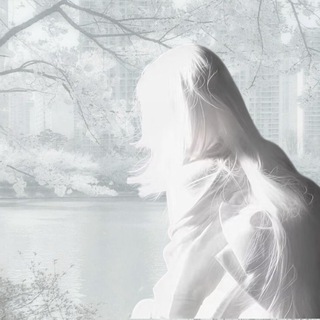 Telegram profile photo for ᨮ mp confession (набор в админы)