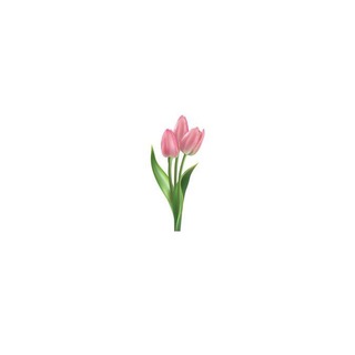 Telegram profile photo for ܟ تراپیستِ غیر رسمی🎀
