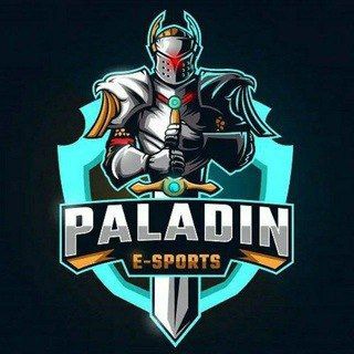 Telegram profile photo for PALADIN-ESP【公益】🇨🇳
