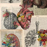Telegram profile photo for Medical & Health 🩺