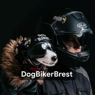 Telegram profile photo for DogBikerBrest