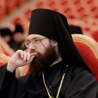 Telegram profile photo for Cogito ergo sum (канал архиепископа Саввы)