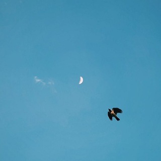 Telegram profile photo for Archive.jāmi
