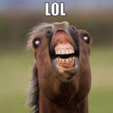 Telegram profile photo for Funny pics and more daily