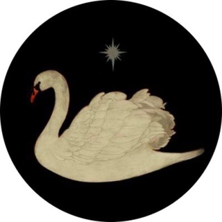 Telegram profile photo for do stufffed animals have souls?