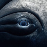 Telegram profile photo for ГЛУБИНА