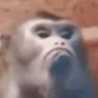 Telegram profile photo for Опросы Пон 🐵