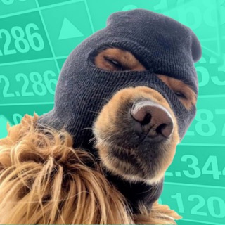Telegram profile photo for $BIGGY | PORTAL