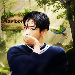 Telegram profile photo for studio Marlboro