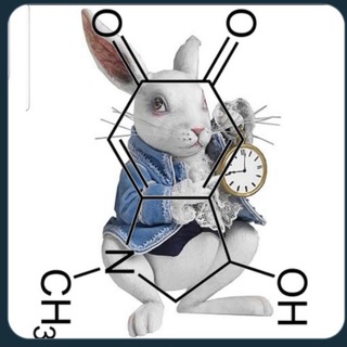 Telegram profile photo for Toca do Coelho 🐇 🇧🇷🇺🇸 #WWG1WGA