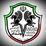 Telegram profile photo for Vandad_TKD_Academy