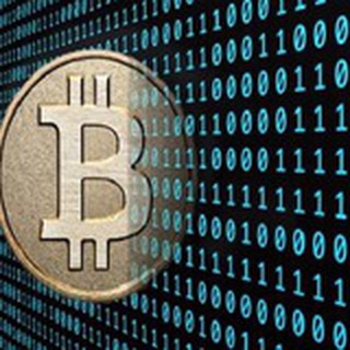 Telegram group profile photo for 柬埔寨-西港人才聚集地🐯