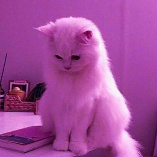 Telegram profile photo for ноготочки