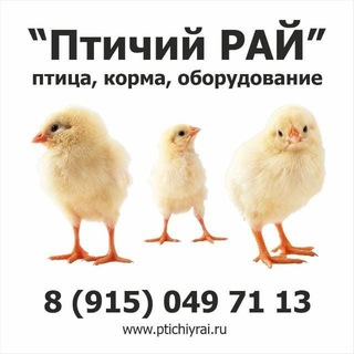 Telegram profile photo for ПТИЧИЙ РАЙ актуальное