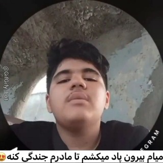 Telegram profile photo for کشتارگاه ناموس ایلیا شیرازی / ایلیا شیرازی 14 ساله هستم ننم کوصه