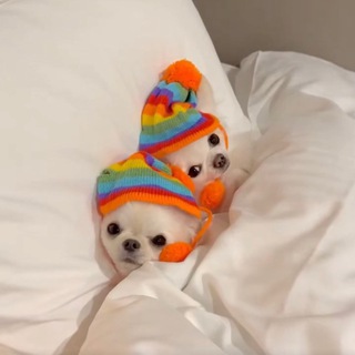 Telegram profile photo for Мы или не мы? 🔪