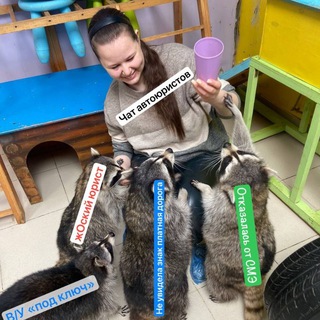Telegram profile photo for Чат АвтоЮриста :)