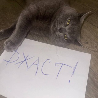 Telegram profile photo for #шептуныфлоу