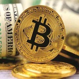 Telegram profile photo for Binary Options Trade