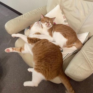 Telegram profile photo for 𝒎𝒚 𝒘𝒐𝒓𝒍𝒅 || عالمي