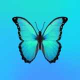 Telegram profile photo for Aqua Themes