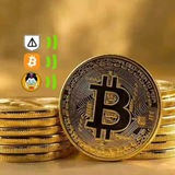 Telegram profile photo for آموزش برداشت داگز