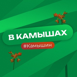 Telegram profile photo for В Камышах