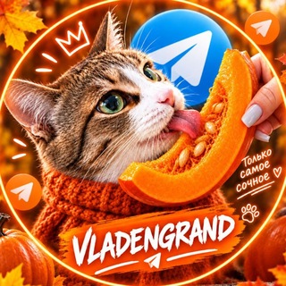 Telegram profile photo for 💠 VLADENGRAND | Вайбогенерация | Мы и Котики