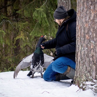 Telegram profile photo for Вятский бердвотчер 🦅
