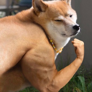 Telegram profile photo for Мемчанський 🇺🇦