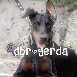 Telegram profile photo for dʙr&gᴇrdᴀ👾