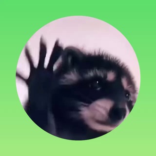 Telegram profile photo for Мы UWP