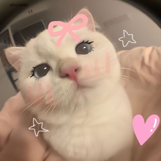 Telegram profile photo for Allokris