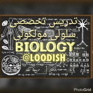 Telegram profile photo for لوديش