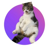 Telegram profile photo for Мурчiк QIT
