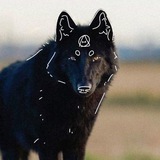 Telegram profile photo for 🕸Raⲓⲛ'ⲍ.ⲣⲁⲱ!¡🍂