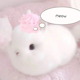 Telegram profile photo for 🌸💧