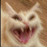 Telegram profile photo for Tik Tok
