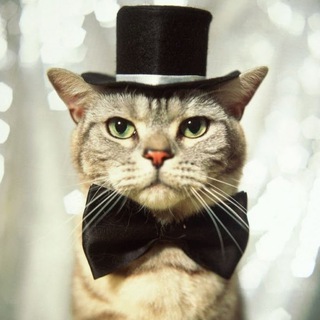Telegram profile photo for крипта это хобби