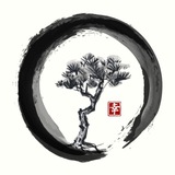 Telegram profile photo for דודו רווח-יוגה-תנועה-פילוסופיה-תרפיה-רפואה משלימה-רפואה יפנית-צ'י קונג-טיפול בתנועה-מדע-אומנויות לחימה