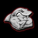 Telegram profile photo for Ялтинские фанаты
