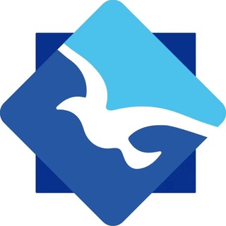 Telegram profile photo for 海鸥-资源分享社区