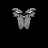 Telegram profile photo for PRO ATHLETIC ХАЛИЛОВ