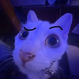 Telegram profile photo for Mr. Pon