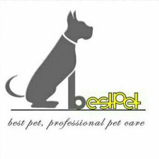 Telegram profile photo for BestPet | «مرجع آگهی حیوانات خانگی»
