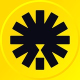 Telegram profile photo for Kingfin | Affiliate program
